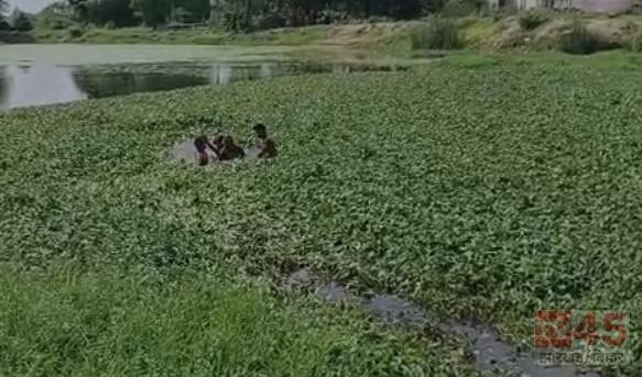 सोलाड़ी गिह कमला बांध स्थित भरे तालाब में हाई वोल्टेज ड्रामा