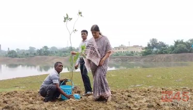 निरसा में ‘मन की बात’ के तहत वृक्षारोपण, मां के नाम लगाया पेड़