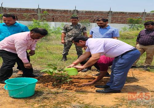 विश्व पर्यावरण दिवस पर उपायुक्त ने पौधारोपण कर जागरूकता का संदेश दिया