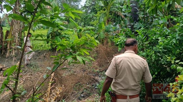 पुलिस कार्रवाई