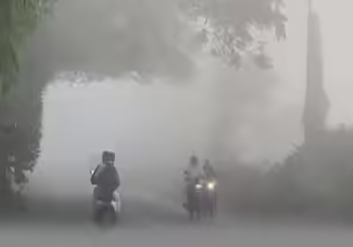 कोहरे की मोटी चादर में लिपटी सुबह, जनजीवन प्रभावित