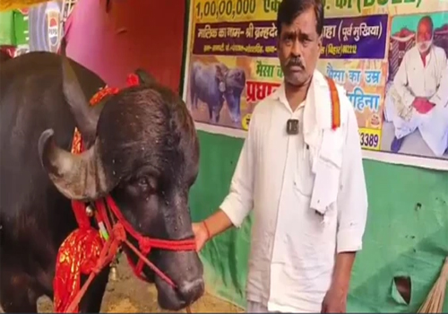 सोनपुर मेला में 1 करोड़ की कीमत वाला ‘प्रधान जी’ बना आकर्षण का केन्द्र