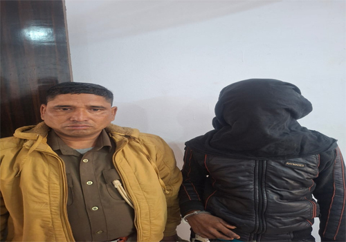 Godda News: मेहरमा पुलिस ने चोरी के गिरोह के सदस्य को किया गिरफ्तार