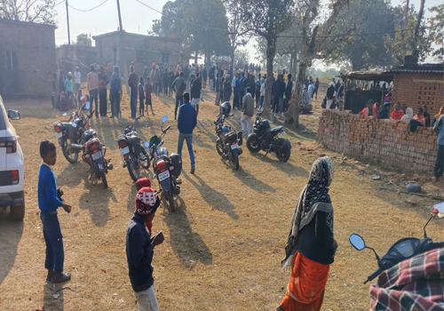 हजारीबाग में हाथियों का तांडव, 6 लोगों को कुचलकर मार डाला