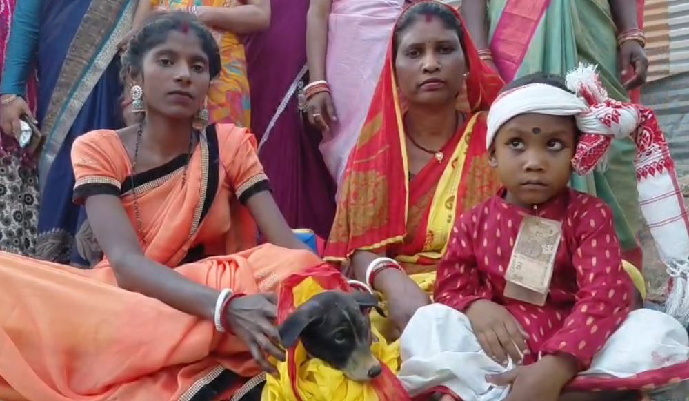 अंधविश्वास या आस्था? जमशेदपुर में हरमंगेया पर्व पर 2 बच्चों का प्रतीकात्मक विवाह कुत्ते के साथ, सदियों पुरानी परंपरा निभाई गई