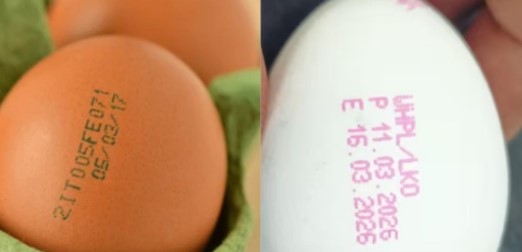अंडा पहले आया या मुर्गी? नहीं पता! पर अब अंडे की एक्सपायरी तय होगी