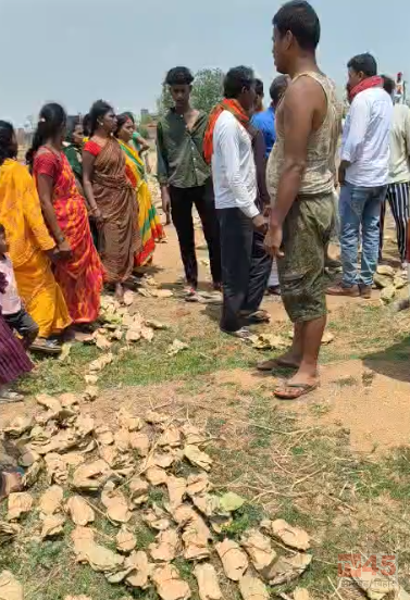 पलामू के मनातू वन क्षेत्र में अवैध केंदू पत्ता जब्ती के दौरान वनकर्मियों से मारपीट, कई लोगो पर प्राथमिकी दर्ज