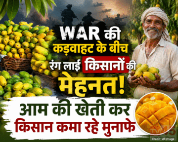 war की कड़वाहट के बीच रंग लाई किसानों की मेहनत : आम की खेती कर किसान कमा रहे मुनाफे