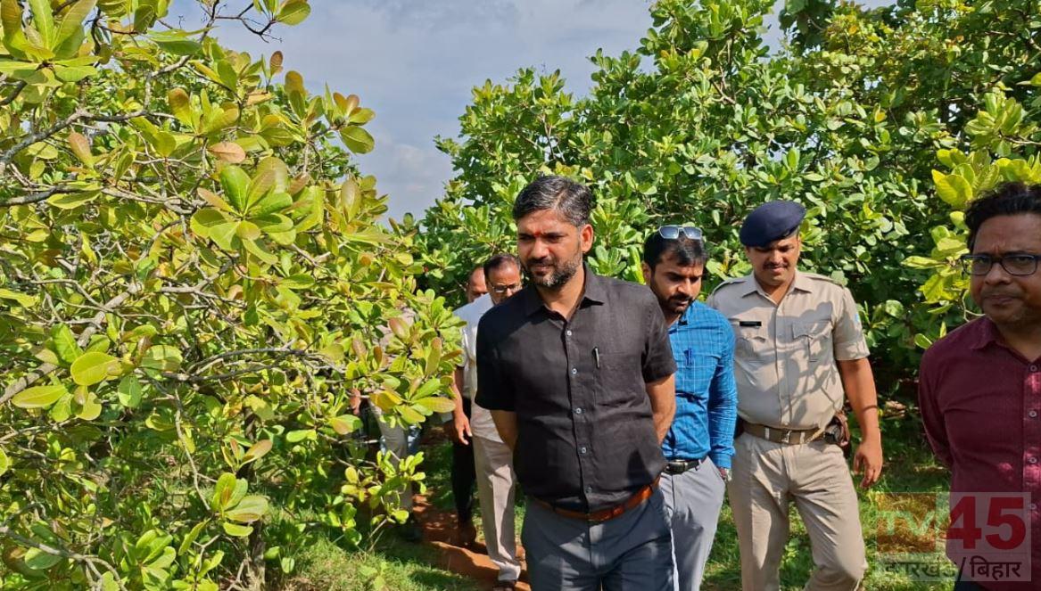जामताड़ा बनेगा काजू हब! 95 एकड़ के बागान का उपायुक्त ने किया निरीक्षण, प्रोसेसिंग यूनिट स्थापित करने की कवायद तेज