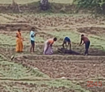 जमीनी विवाद में दिनदहाड़े पीटकर निर्मम हत्या (Brutal murder), सोशल मीडिया पर वीडियो हुआ वायरल