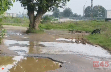 लोहरदगा शहर (Lohardaga town) में विकास और सड़कों की तस्वीर बदहाल, दोपहिया और चारपहिया वाहनों के आवागमन बाधित