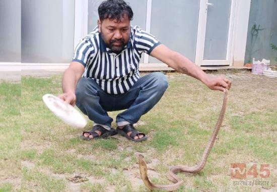 क्रिकेटर महेंद्र सिंह धोनी के रांची फार्म हाउस में घुसा कोबरा, कड़ी मशक्कत के बाद सांप को सुरक्षित रेस्क्यू किया गया