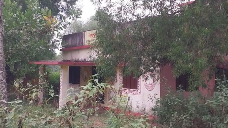 Rural Healthcare: झाड़ियों के जंगल में गुम हुआ फतेहपुर का आयुष हेल्थ सेंटर, लाखों की लागत से बना भवन बदहाली का शिकार