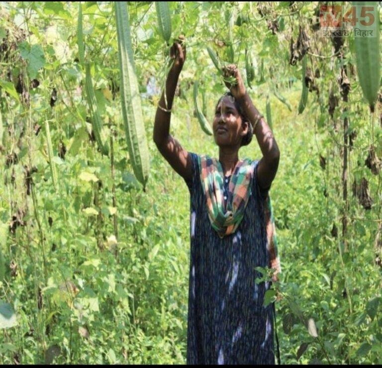 प्राकृतिक खेती से श्रीमती बलेमा सामड ने लिखी सफलता की नई कहानी, एक एकड़ में ₹53 हजार का शुद्ध लाभ